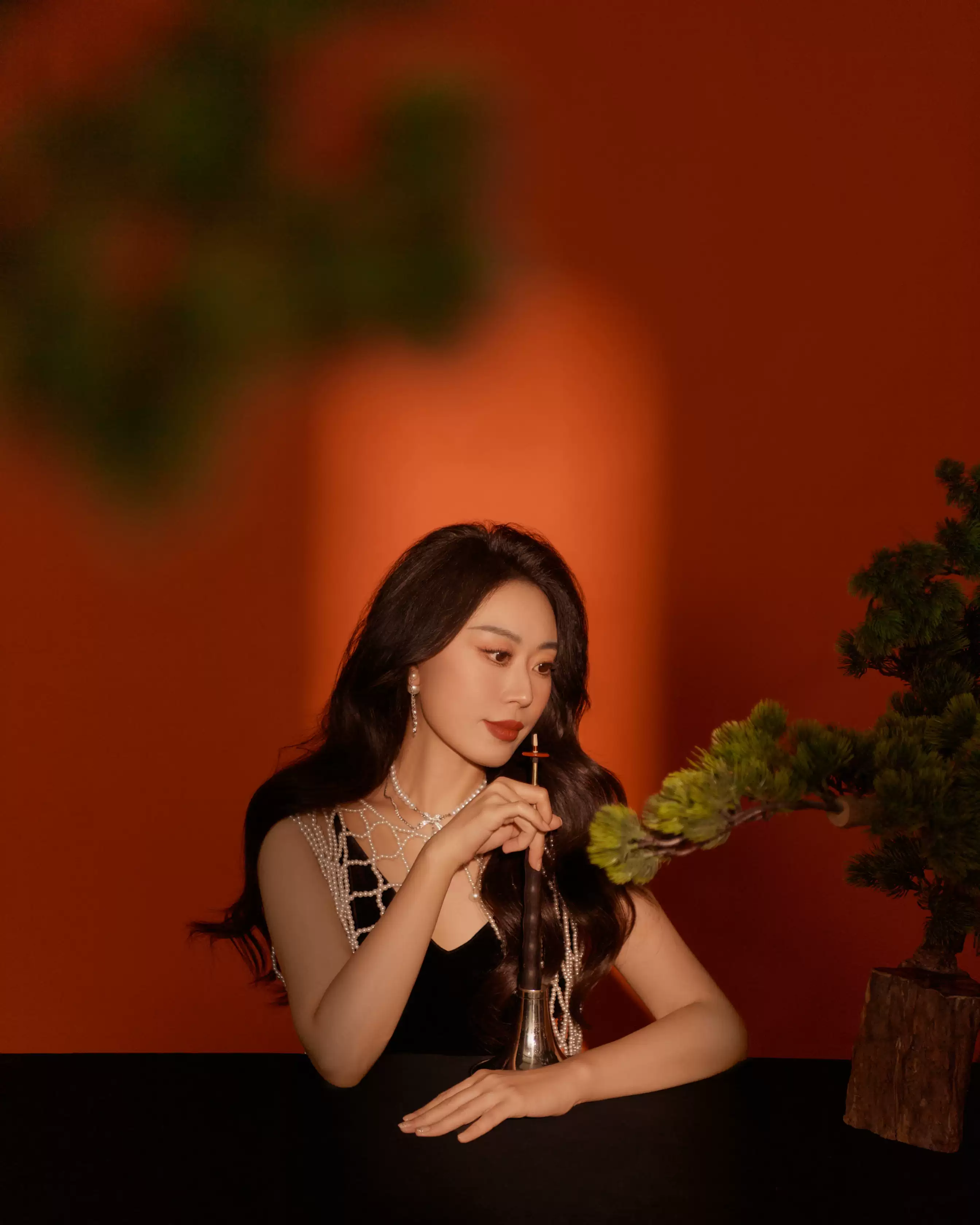 百鸟朝凤·万马迎春—北京民族乐团·新春音乐会(图5)