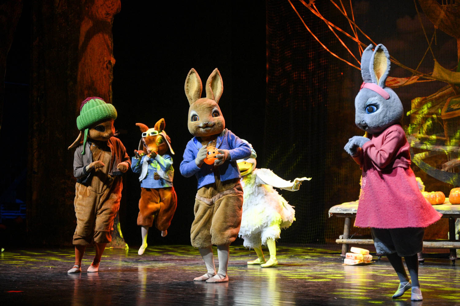 英国百年动漫经典芭蕾舞剧《比得兔之动物狂欢夜》