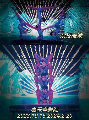 大型多媒体杂技秀