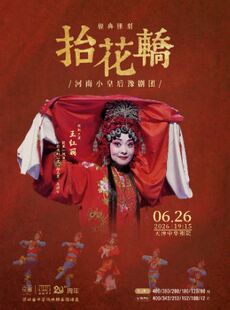 王红丽主演豫剧《抬花轿》-第四届中华戏曲精品邀请展