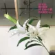 Một gói gồm 4 hoa loa kèn | hoa nhân tạo hoa giả trang trí phòng khách hoa sàn hoa ào ạt ưu đãi đặc biệt - Hoa nhân tạo / Cây / Trái cây hoa lan giả