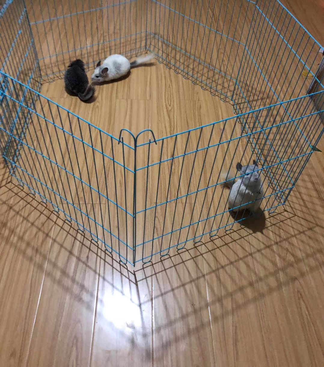 Dragon Cat Put Wind Fence Fence Iron Fence Pet Cage Dragon Cat Pooch Fence Suggest Fat Dragon Cat Rabbit used oh