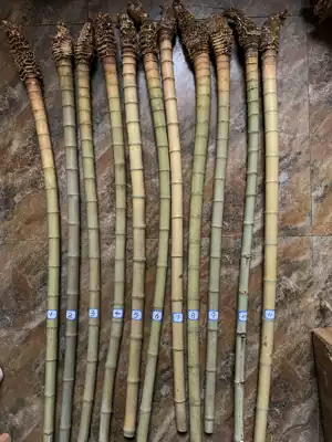 Small bamboo root raw material bamboo whip bamboo head material handlebar fishing gear raw material root carving crutch material diameter 3 5-4