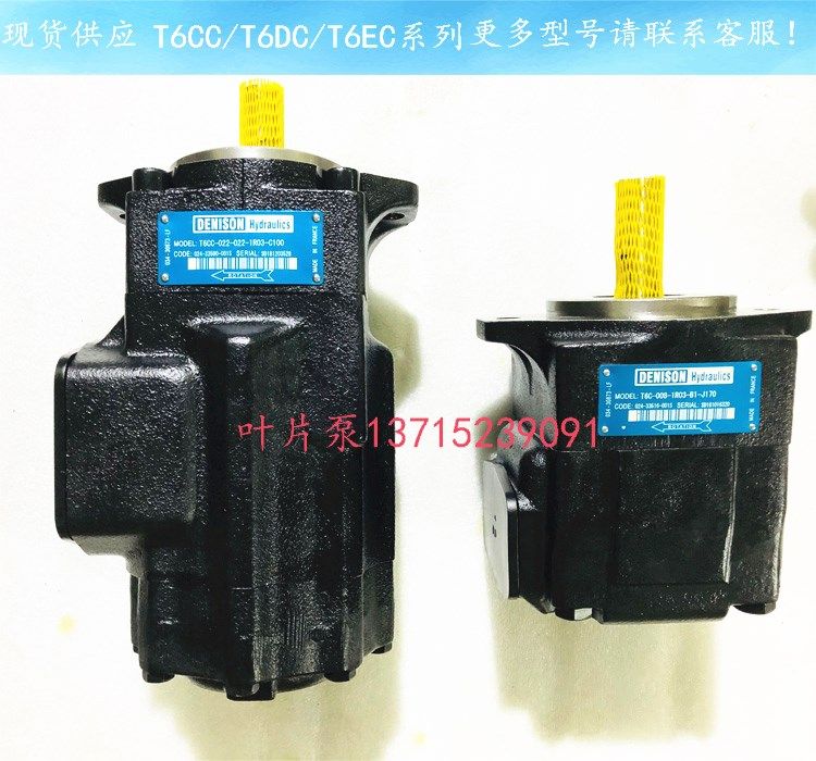 DENISON Hydraulic Pump DENISON Vane pump T6CC-022-005-2R00-C100 Dennison Hydraulic pump