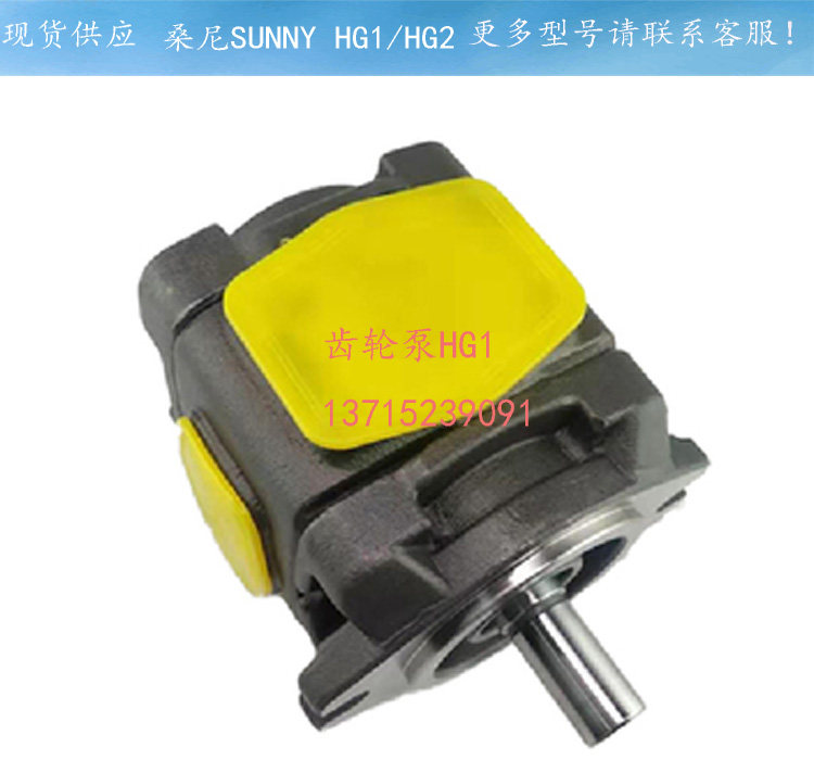 Injection molding machine hydraulic pump Sonny SUNNY gear pump HG1-32-01R-VPC HG2-160-01R