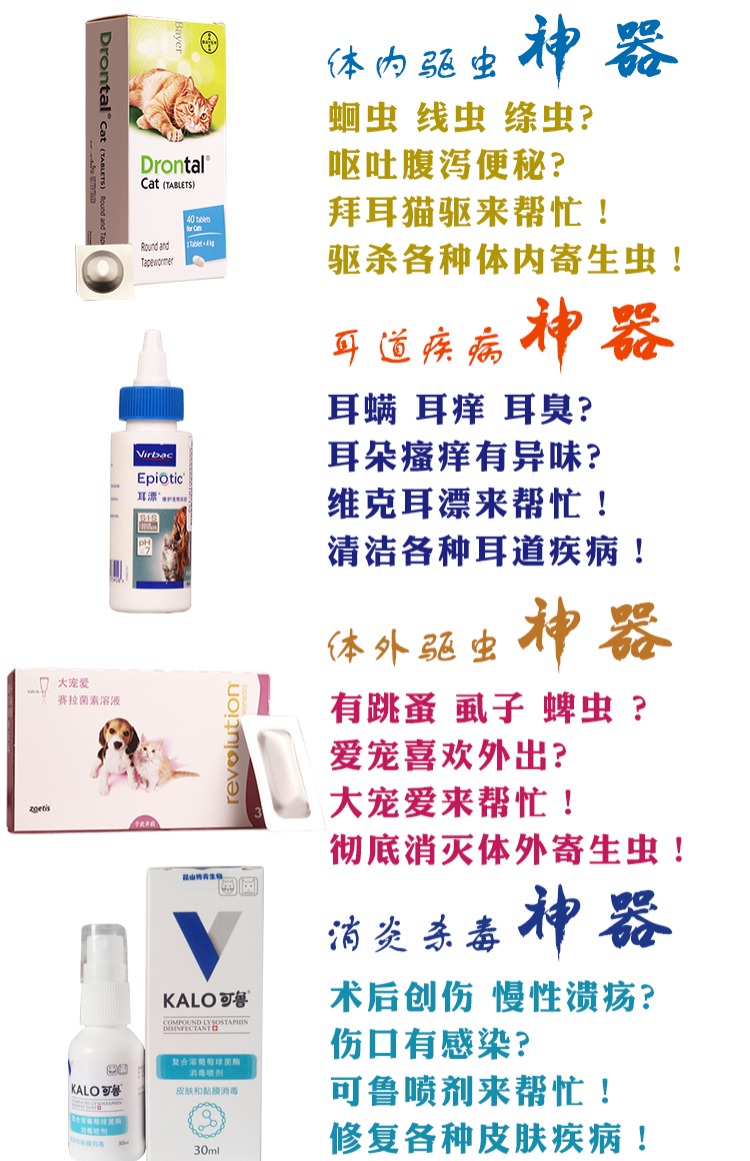 Phương pháp diệt rệp, trừ việc loại bỏ giun, vật nuôi, vật nuôi, sử dụng tác nhân, hộp nước mèo, thả phước lành - Cat / Dog Medical Supplies 	bộ kim tiêm thú y