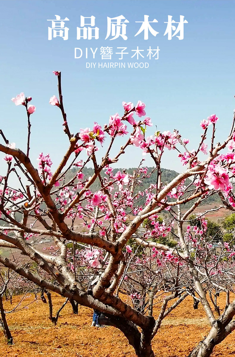 Peach Wood Hairpin DIY Handmade Wood Materials Pure Materials Drawings Rosewood Hairpin Raw Wood Board Dry Materials — تصویر 1