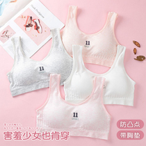 Princess Norno Childrens underwear Female bra Hair Incubation Period Small Vest Anti-Bump Summer Thin-Breathable Movement