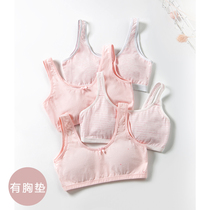 Girls  underwear small vest development period 9-12 years old students girls older children children primary school students bra cotton