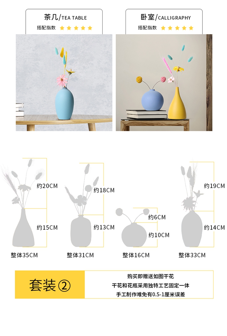 Floret bottle plug-in sitting room dry flower ceramic Nordic light TV ark, contracted and I key-2 luxury porch home furnishing articles