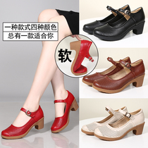 Square Ballroom Morden Latin Dance Shoes Womens Dancing Women Shoes All Season Dance Shoes Female Adults Middle Heel High Heel Soft Bottom