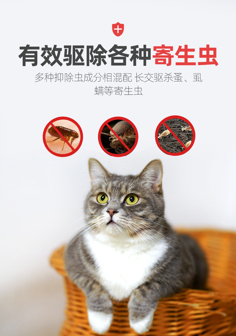 Chó chống côn trùng cổ áo mèo đuổi muỗi mạt chống bọ cạp để bọ chét chó cổ áo bên ngoài ruồi nhặng thú cưng - Cat / Dog hàng ngày Neccessities 	mua bát ăn cho chó	