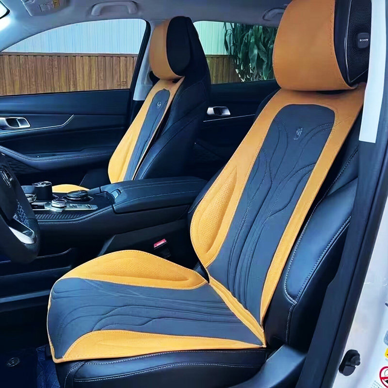 Tianji Lion Passenger Car Simple Four Seasons General Model Audi Benz BMW Maybach