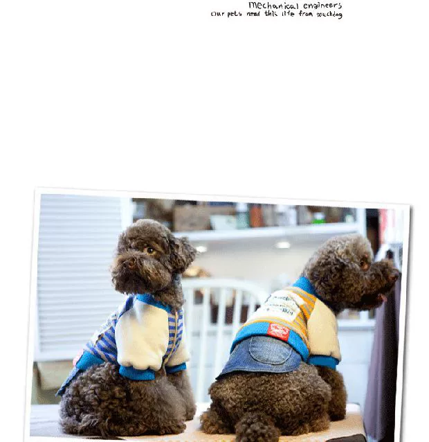 Xác thực! Touchdog nó mùa thu và mùa đông mô hình thú cưng quần áo chó quần áo gấu bông quần áo quần áo - Quần áo & phụ kiện thú cưng quần áo cho chó poodle