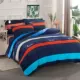 Flannel chăn đơn mảnh mùa đông ký túc xá nhung nhung sinh viên ba mảnh duy nhất đôi nhung bao gồm bốn mảnh 	chăn phao giá rẻ