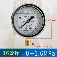 Сейсмостойкость YN60 [0-1,6 МПа] 16 кг