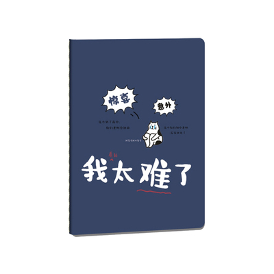 笔记本记事本【2本装】