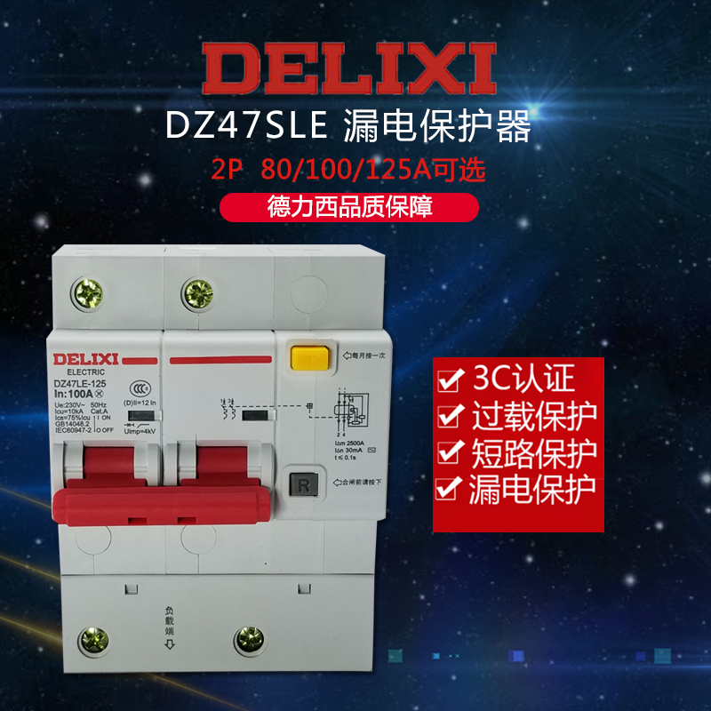 Delixi household leakage circuit breaker DZ47LE 2P 100A 80A 125A two-phase 220V leakage protection