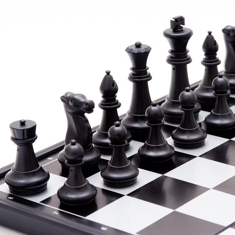 Introduction to Chess Pupils Chess Magnetic Large Magnet Chess Beginners