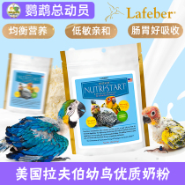 Lavber Parrot Milk Firt Fird Bird Soger Rafibel Lafeber Официальный Флагман A21 Genfeng