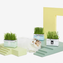 Uncard environmental protection paper cat grass pet cat hair ball DIY planting cat grass White Blue Green Valley Dog Tail