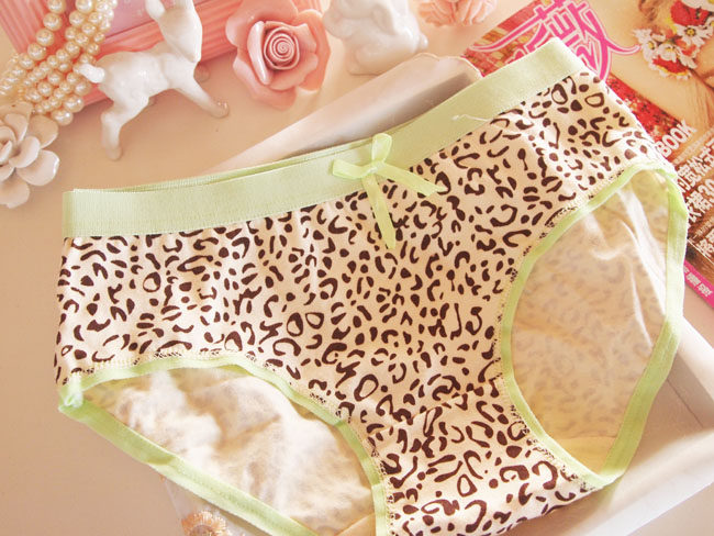 Slip jeunesse M003,6021,8277 en coton - Ref 669151 Image 16