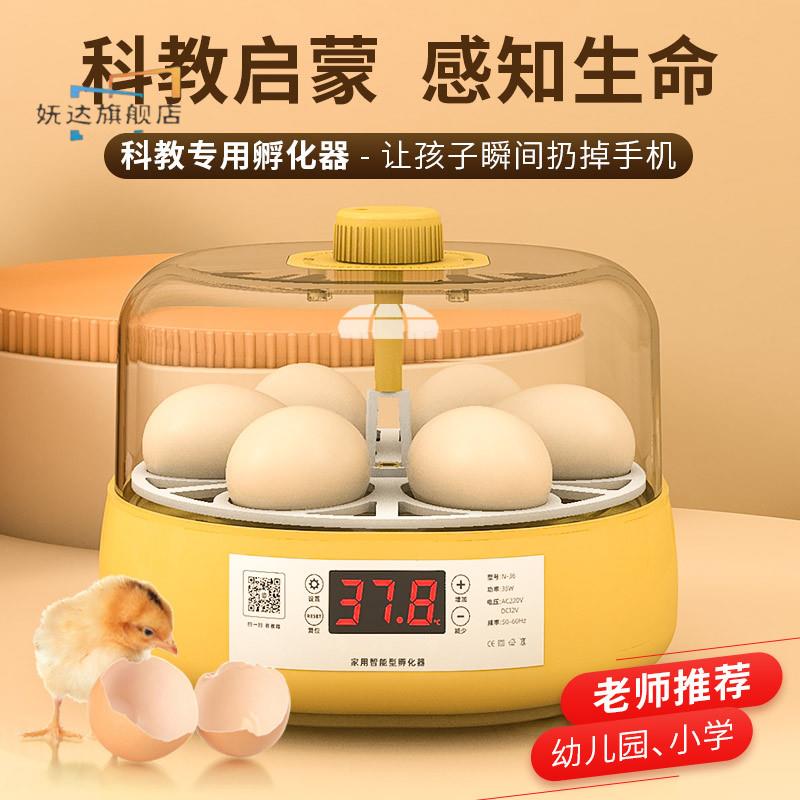 Children's smart incubator mini-small home full automatic incubator cabinet cockrot duck egg incubator