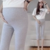 Quần legging bà bầu bảy điểm cotton co giãn Quần bà bầu mặc hè 2019 xuân hè và quần lọt khe mỏng màu 7 - Phụ nữ mang thai quần / quần bụng quần kaki bầu Phụ nữ mang thai quần / quần bụng