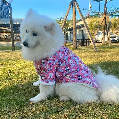 Пехой собаки Новый год Одежда осень и зимние торчащие усебные