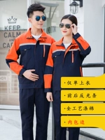 [Только единственный топ] 5 -го поколения тибетского синего популярного апельсина