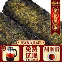 Alpine Black Tea Hunan Anhua Black Tea Hand-built Jinhua Fu Brick tea Authentic wild premium tea 1000g