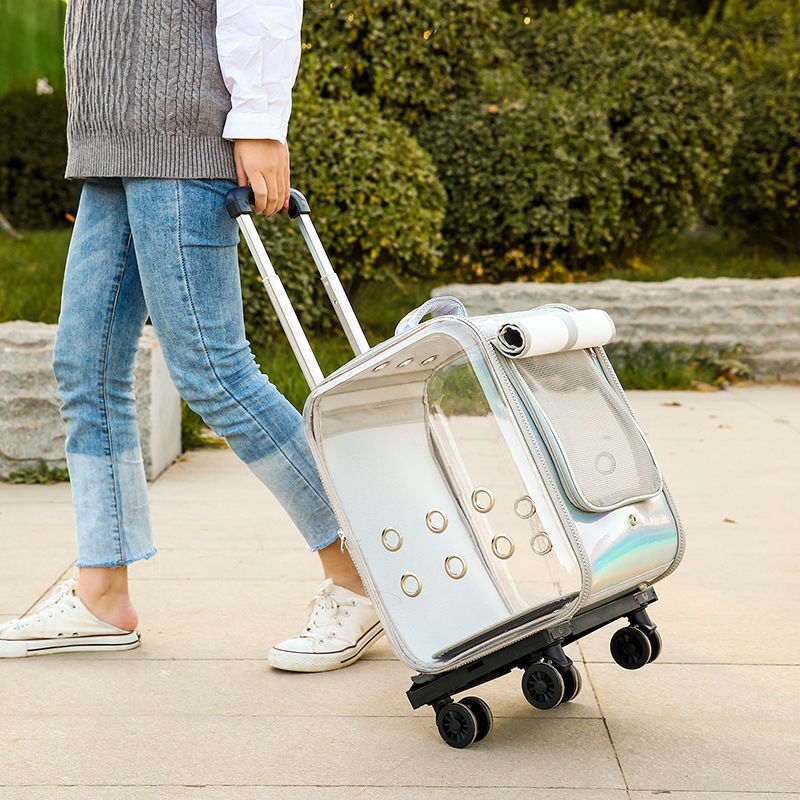Cat bag going out trolley box pet cat cage portable bag hand-held dog backpack breathable space capsule cat transparent