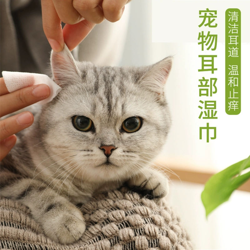 Tai mèo lau đa năng ướt khăn giấy lau tai ngoài ráy tai kháng khuẩn khử trùng cung cấp đầy đủ - Cat / Dog Beauty & Cleaning Supplies