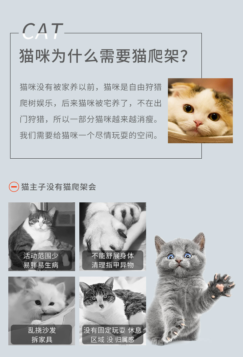 盼斯兔 多层猫爬架 图9
