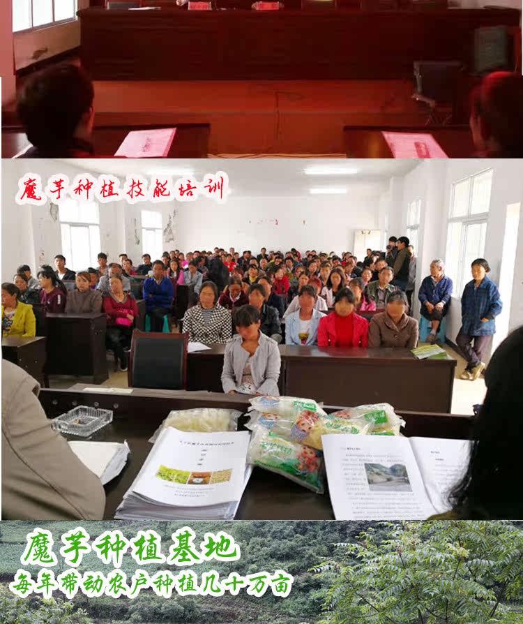 6 сумки волшебных траншей в национальном дне _07.jpg