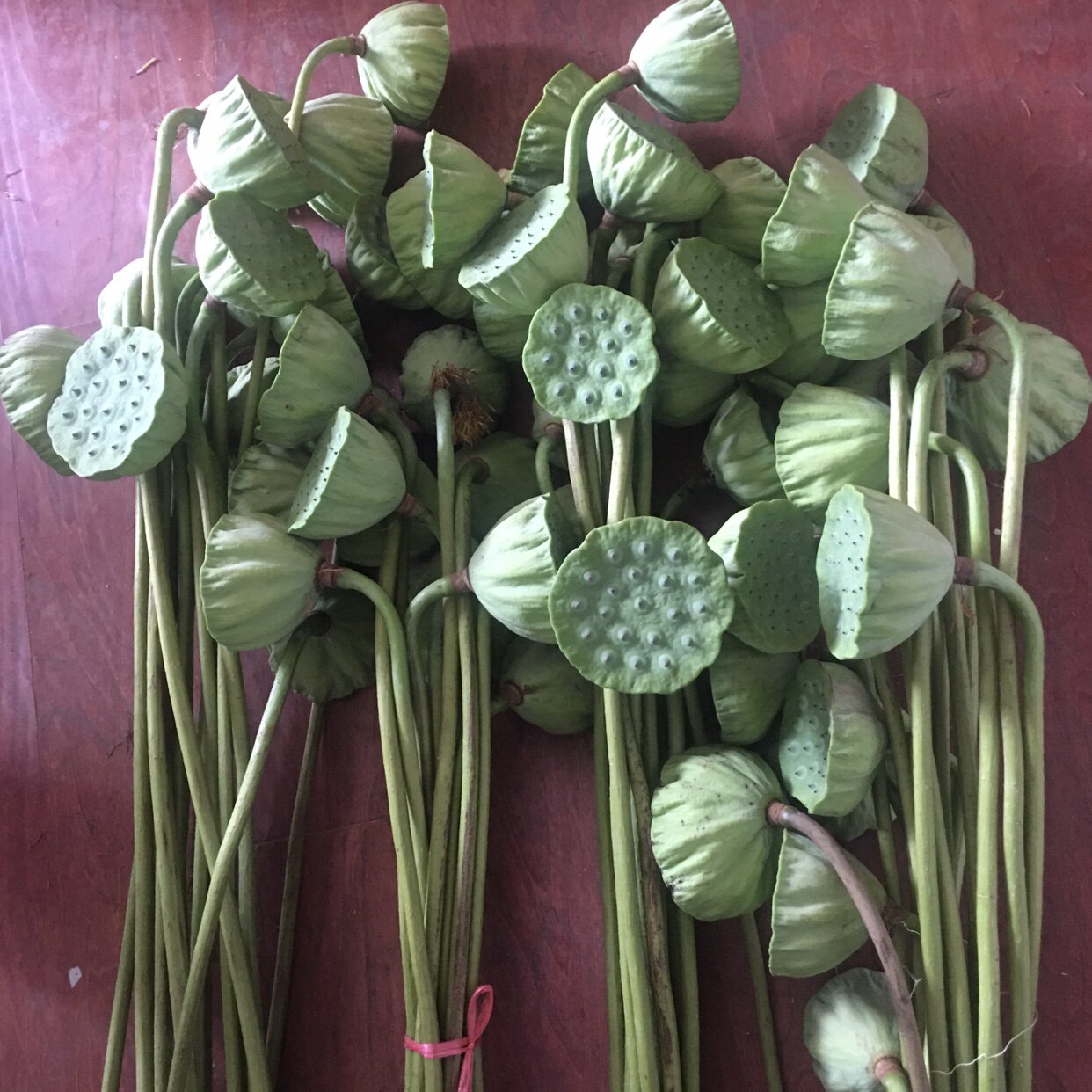 Fresh lotus flower with seed long pole with rod Lianhorn homemade dry bouquet original pole decorated with little fresher zen Serie home furnishing-Taobao