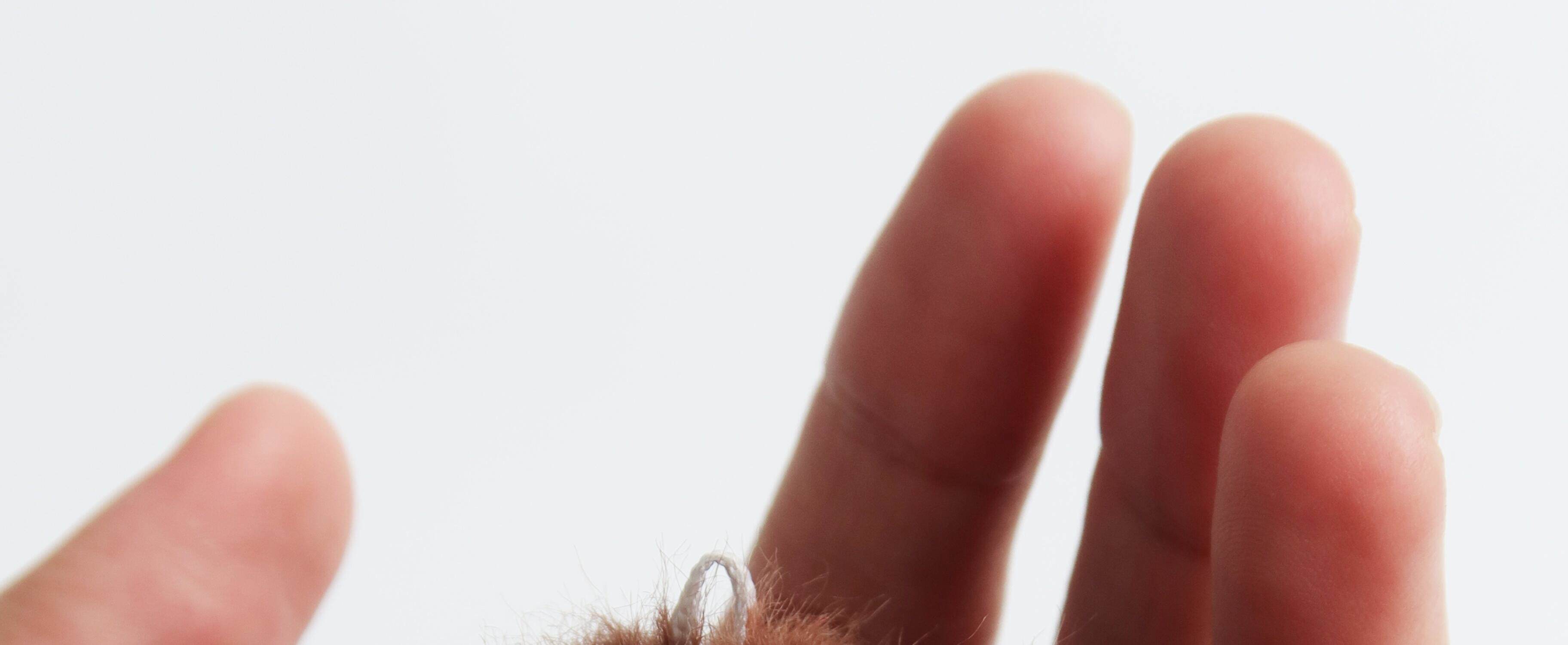 LUDO Bald Fruits Hairy Coconut Plush Keychain detail image