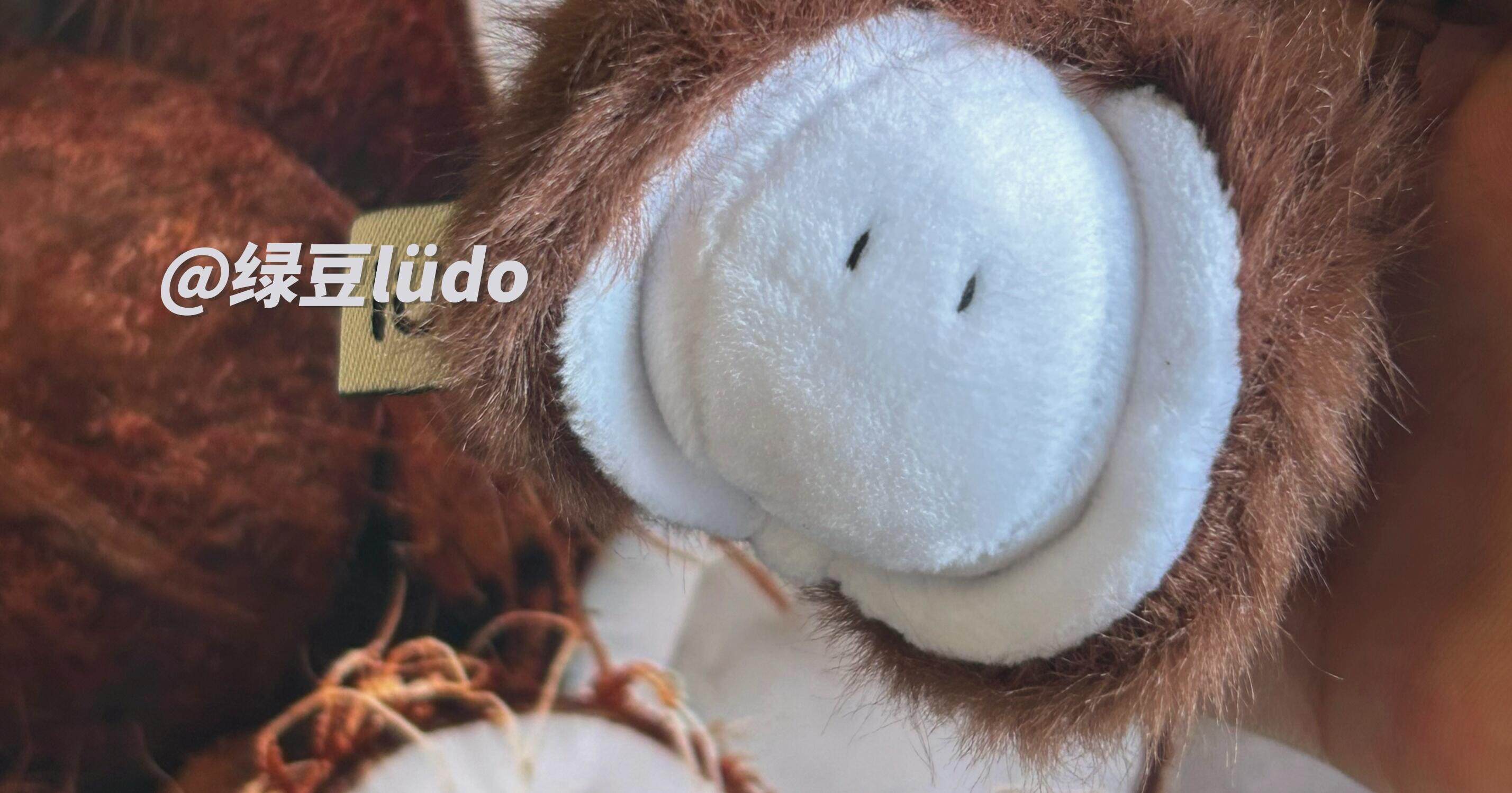 LUDO Bald Fruits Hairy Coconut Plush Keychain detail image