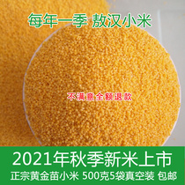 New rice yellow millet 2021 edible Chifeng Ao Han Xiaomi 5 catty Peasant Porridge Rice Vacuum Loaded Gold Fry