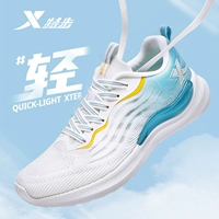 [Модель сетки] 0030 Парус Белый Туман Синий