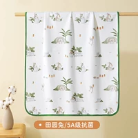 【5a антибактериальные】 пастырский кролик