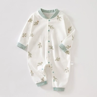 Фея Палм-Чон Кайи