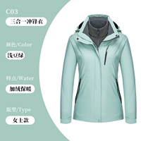 JSH-C03 Sanhelong One Pinsea [Женский фонд] Light Bean Green