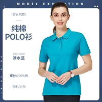 [NS-2988 Чистый хлопок с короткими рукавами, 220G] Голубое озеро