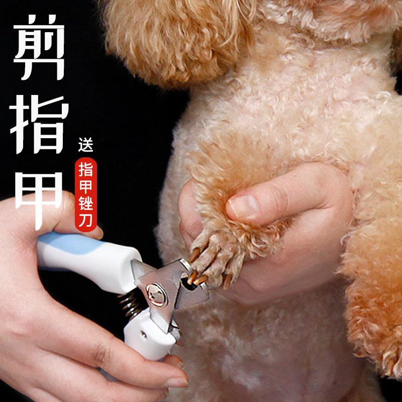 Cat Dog Fingernail Clippers Cut Pets Kitty Scissors Nails Amazing Instrumental Nail Knife Mill Chia small and medium sized puppies
