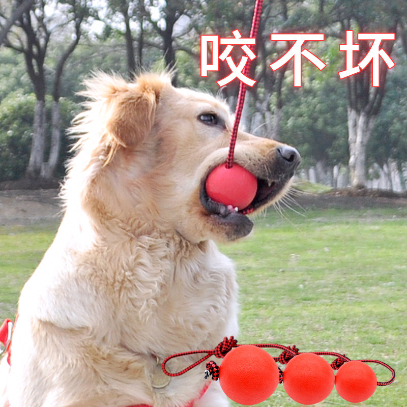 Pet Dog Rubber Toy Ball Jump Ball-Bite-Resistant Guests Teddy Bibi Panda Mired Heart Ball Tow Rope Toy