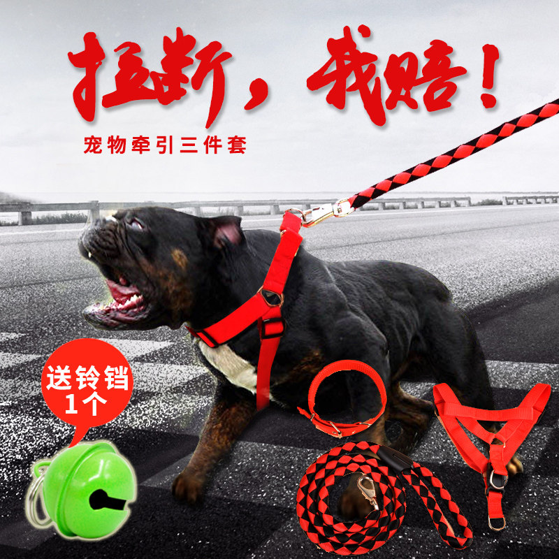 Dogs traction Rope Chest Holding Baby Bag Item Ring Walking Dog Rope Sammoyer Gold Wool Dog Necklace Medium-sized Large Dog Puppy Rope