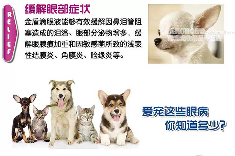 Golden Shield Eye Wash Pet Dog Cat Cat Eye Drops Eye Cleansing Cleansing Tear Care - Thuốc nhỏ mắt