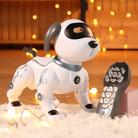 programming stunt smart dog