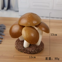 Коричневая грибная куча (5 голов)